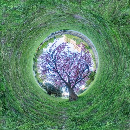 360 video